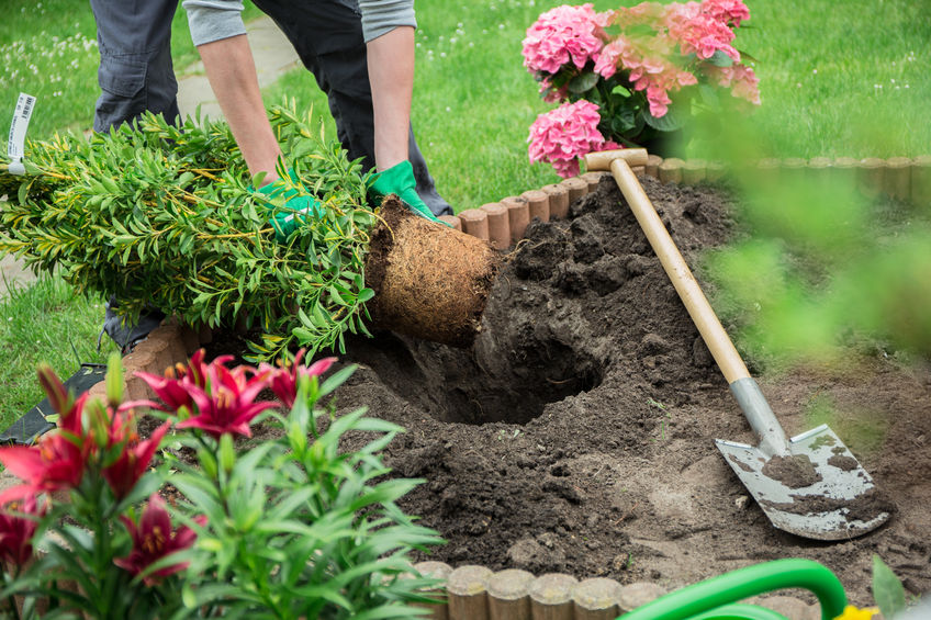 Alle Gartenarbeiten rund ums Haus